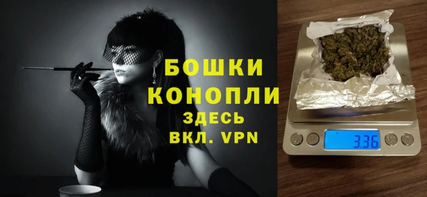 стафф Покачи