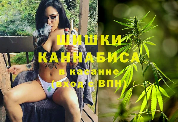 стафф Покачи