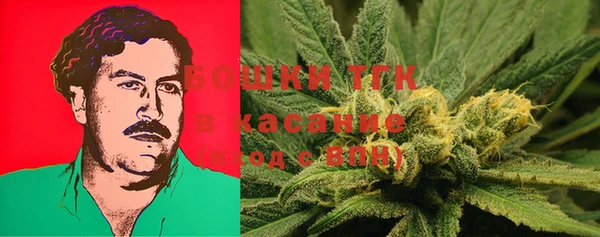 стафф Покачи