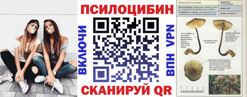 Псилоцибиновые грибы GOLDEN TEACHER  купить наркотики цена  Сурск 